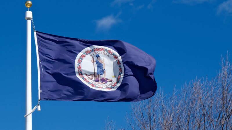 Virginia State Flag