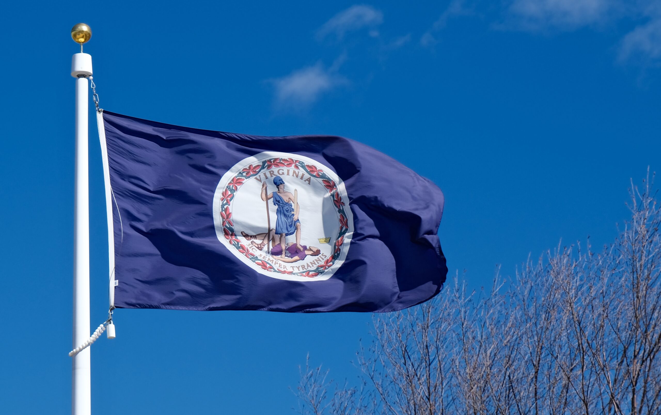 Virginia State Flag