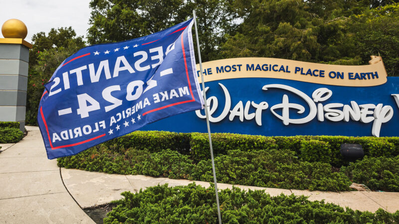 Disney World DeSantis flag