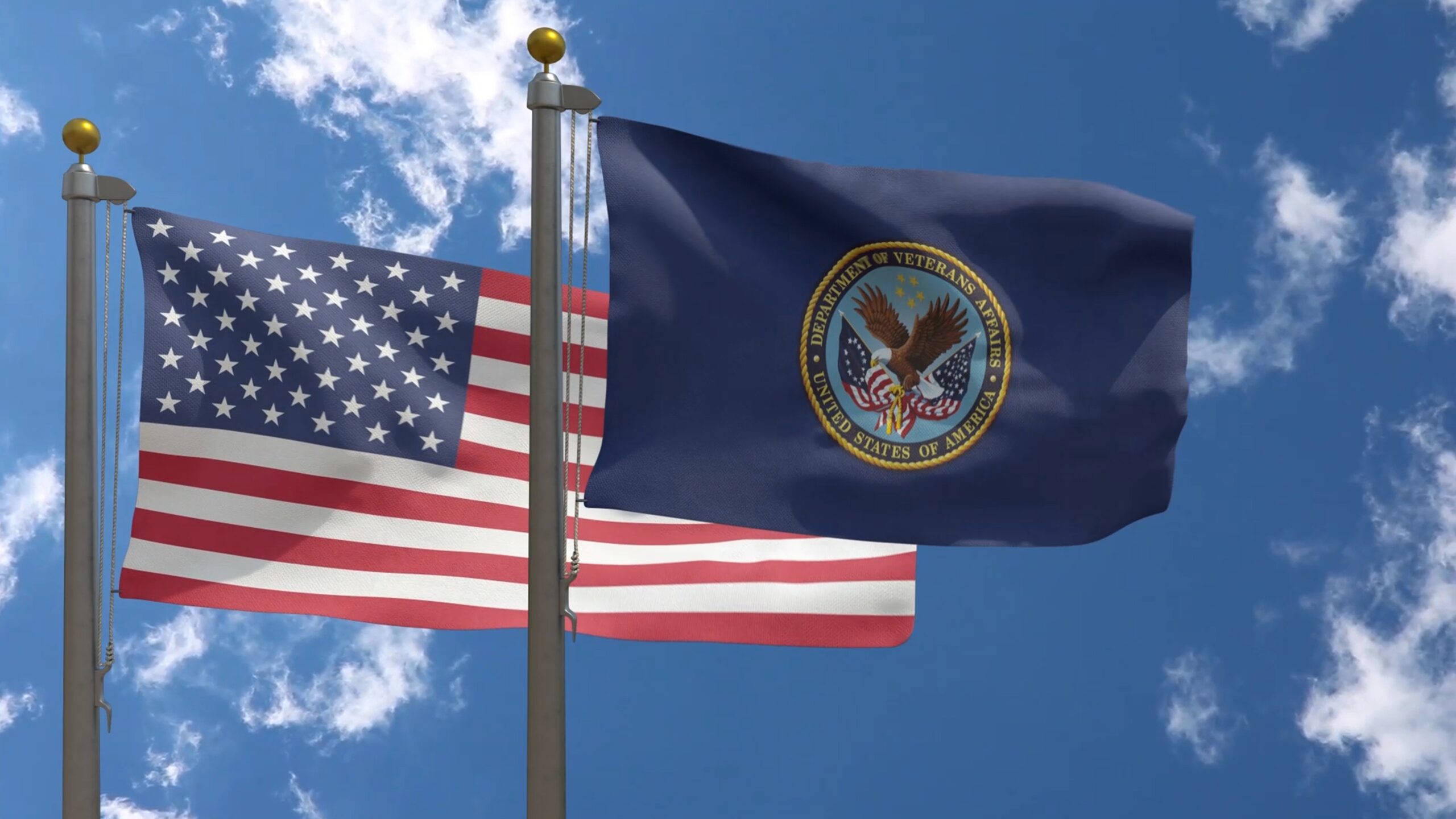 Departments of Veterans Affairs Flag
