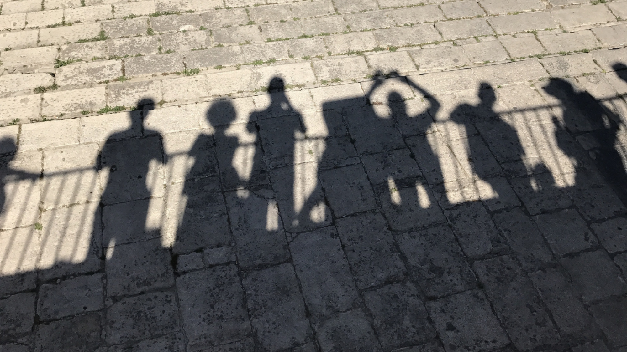 https://www.shutterstock.com/image-photo/shadows-people-740271520