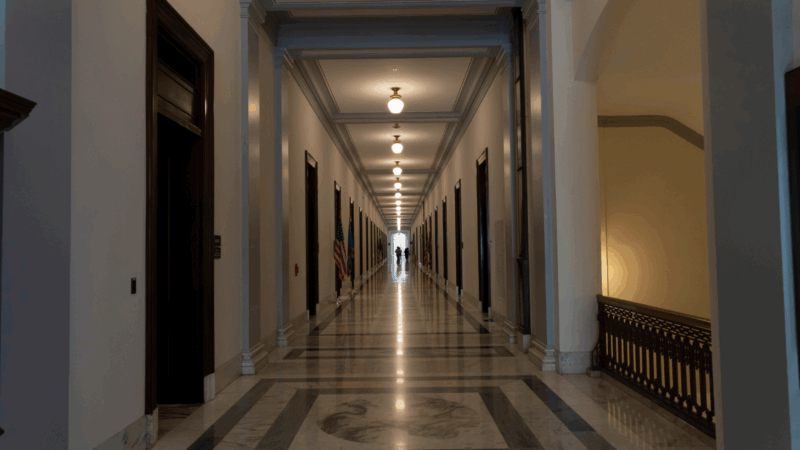 The interior of a Senate building.