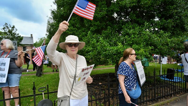 Protesters holding flags in Virginia