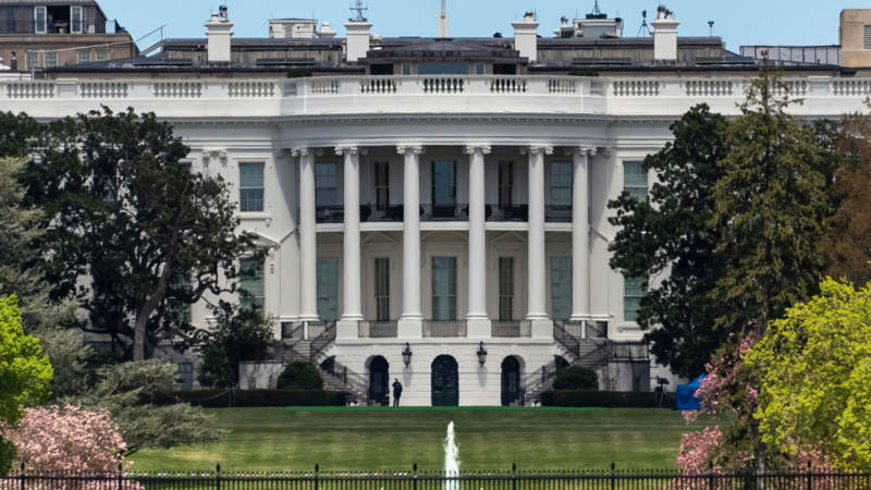 The Back of the White House