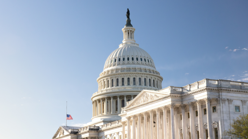 The US Capitol building