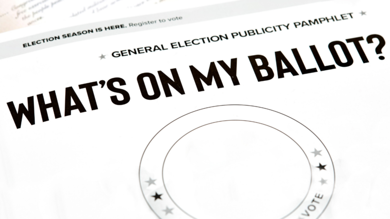A generic election pamphlet