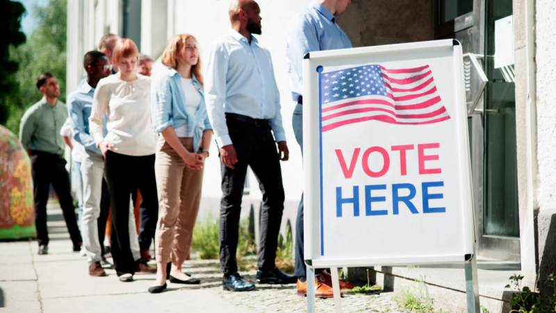 A diverse group of people in line waiting to vote.