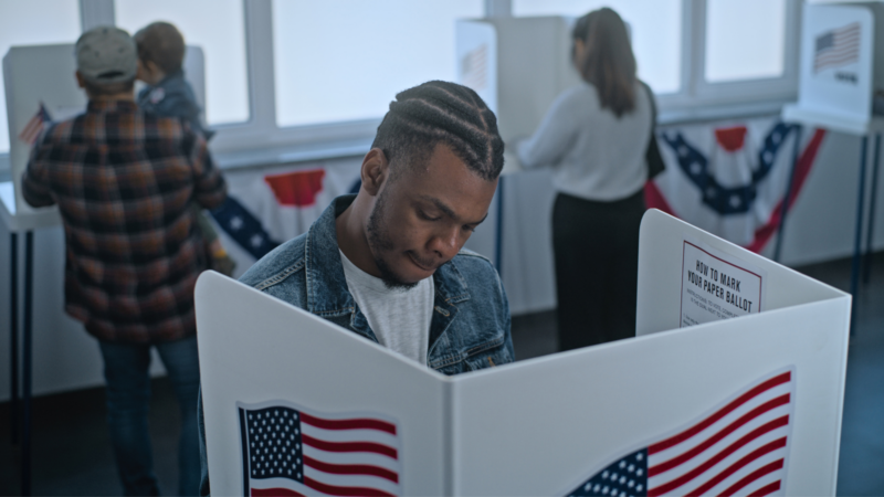 A person voting at a voting booth.