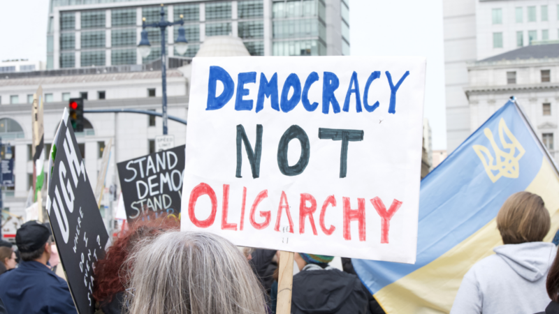 Democracy not oligarchy sign at a protest