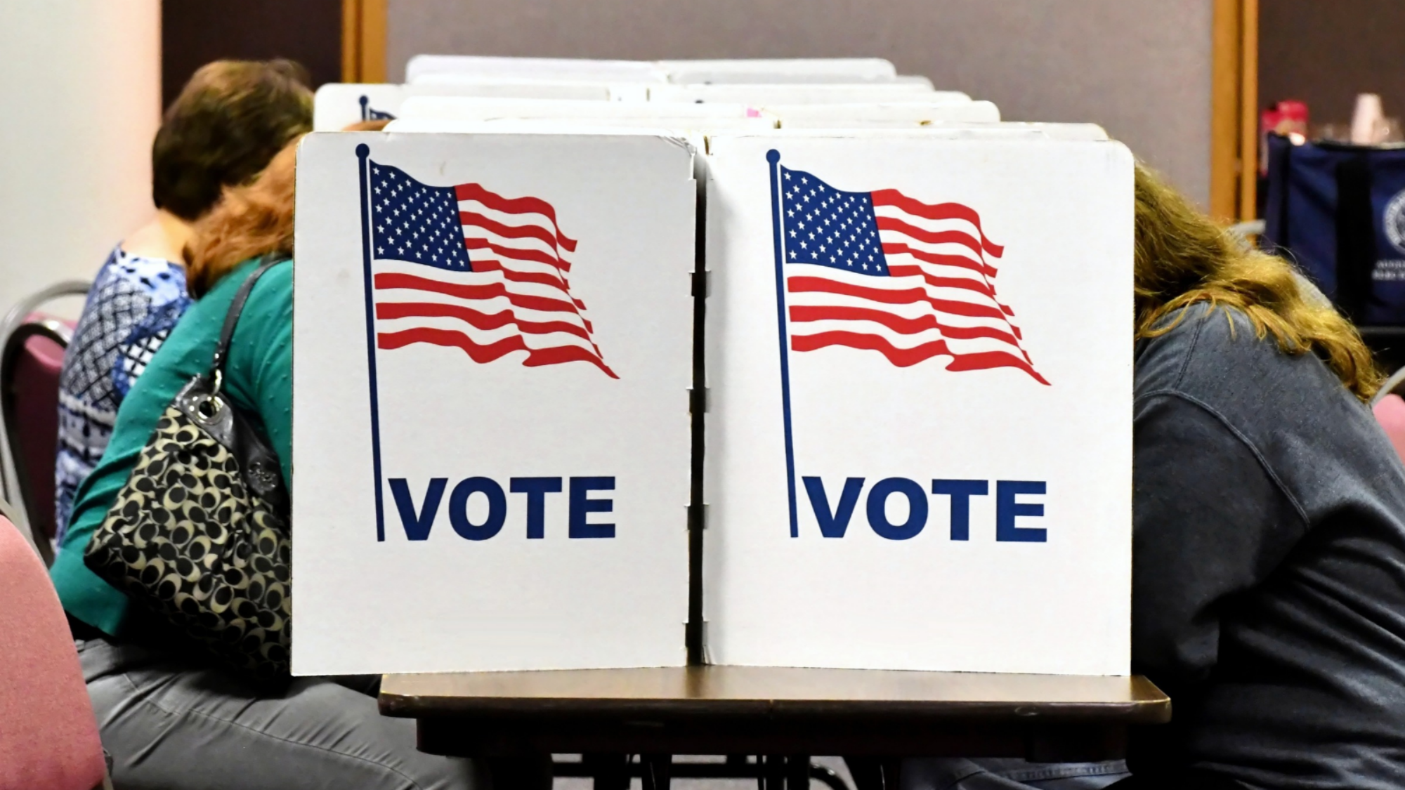 People voting in booths in 2018 in Virginia